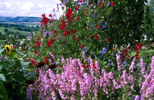 Chatsworth kitchen garden