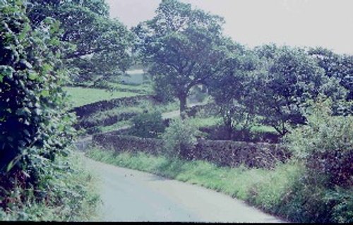 In and around Bolton Abbey. 1978