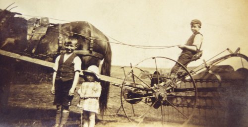 Haymaking at Veepings Farm (about 1930) near Holden, Lancashire