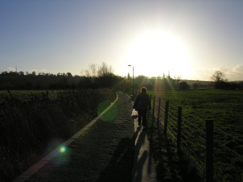 Avon Valley Nature Reserve, Salisbury, Wiltshire. January 2005