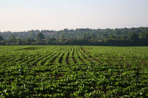 Around the Don Valley at Sprotbrough