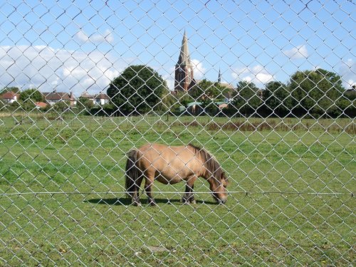 Bromley Common