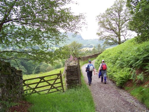 Walking in the Langdale Valley, Cumbria in June