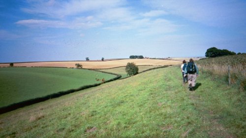 Near Fotherby Top, Lincolnshire Wolds, nr Louth.