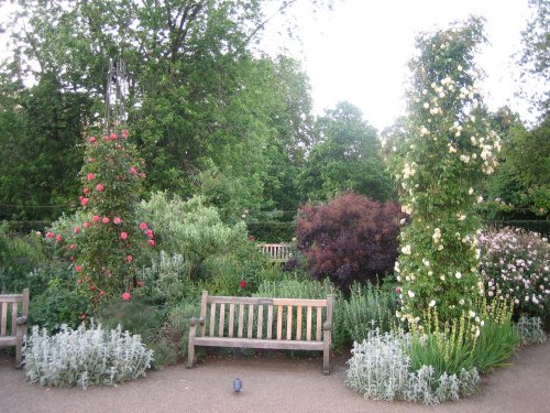 Hyde Park, London