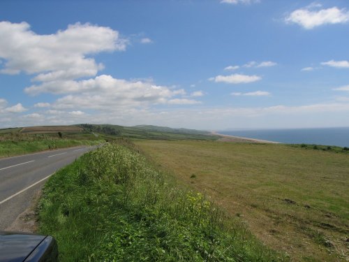 A picture of Abbotsbury