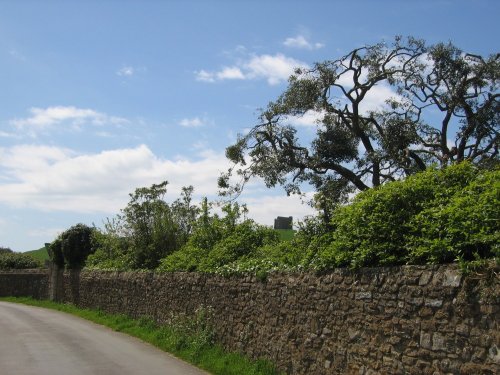 View of the Abbey through a tree at Abbotsbury, Dorset, England