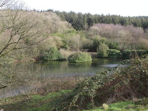 Otter Lake in Winter. The Blackdown hills in Somerset