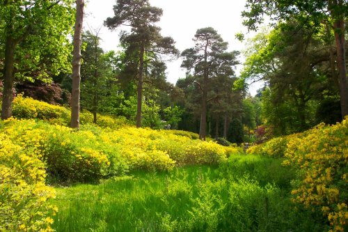 Leonardslee Gardens, Horsham, West Sussex