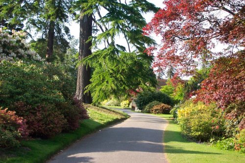 Leonardslee Gardens, Horsham, West Sussex