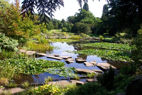 University Botanic Gardens, Cambridgeshire