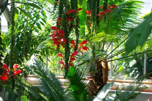 University Botanic Gardens, Cambridge