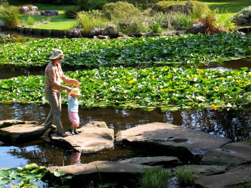 University Botanic Gardens, Cambridge