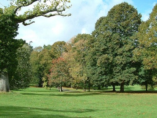 Peaceful scene, Cockington Country Park, Devon