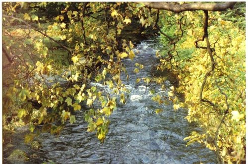 close up of the same stream near Rydal, Lake district