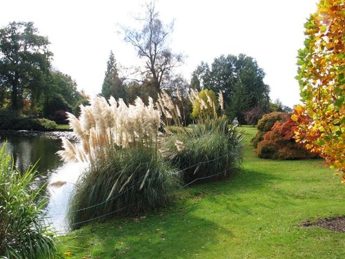 Wakehurst Place, West Sussex