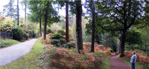 Wakehurst Place, West Sussex