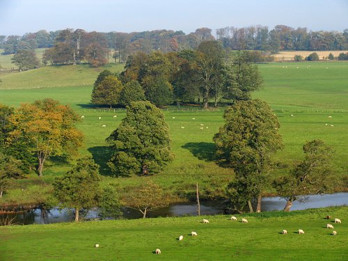 River Aln from Alnwick Castle, Northumberland