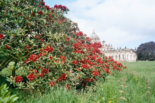 A picture of Castle Howard