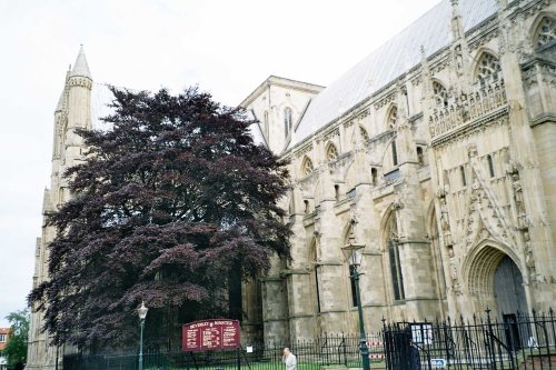 Beverley Minster, Beverley, East Yorkshire