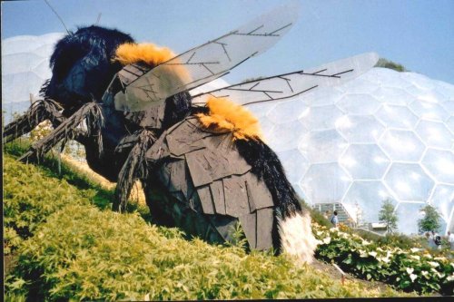 The Eden Project in Bodelva, Cornwall