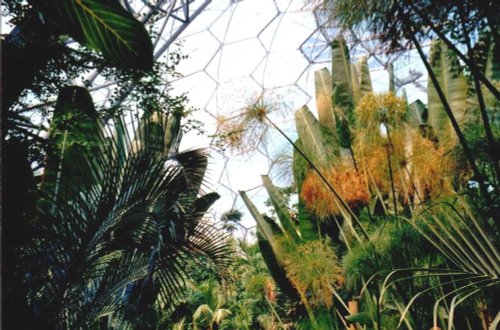 A picture of The Eden Project