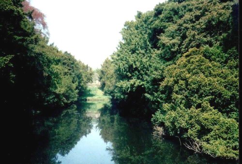 Newstead Abbey