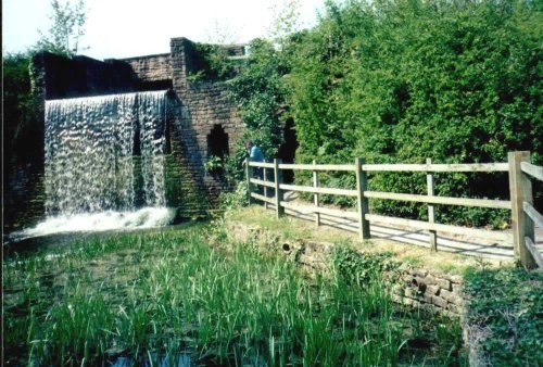 Newstead Abbey, Garden