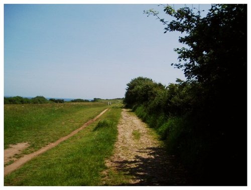 Coastal path, Studland, Dorset.