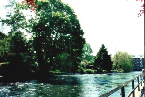 River Itchen in Winchester