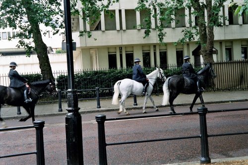 London, by Buckingham Palace - June 2005