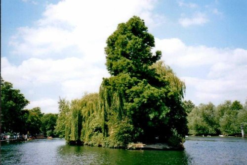 River Thames by Windsor