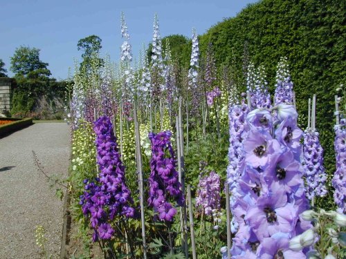 In the garden Castle Howard