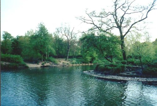 London - Regent`s Park, May 2001