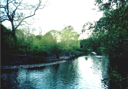 London - Regent`s Park, May 2001