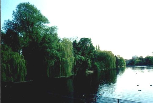 London - Regent`s Park, May 2001