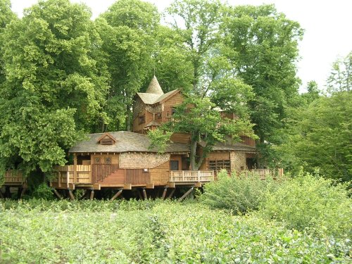 The Tree House, Alnwick Castle Gardens, Alnwick, Northumberland.