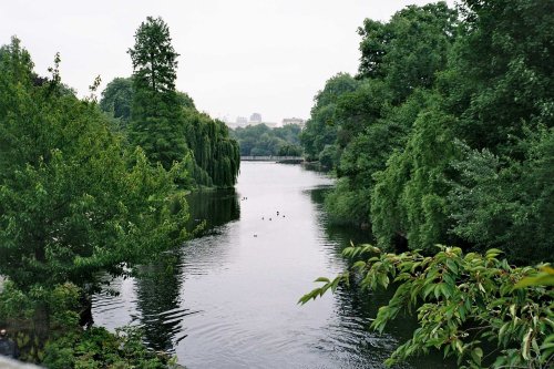 London - St James`s Park, June 2005