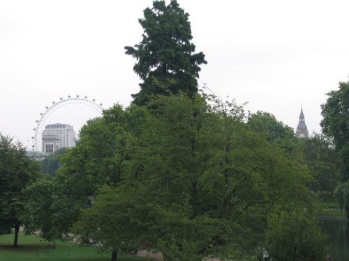 london eye