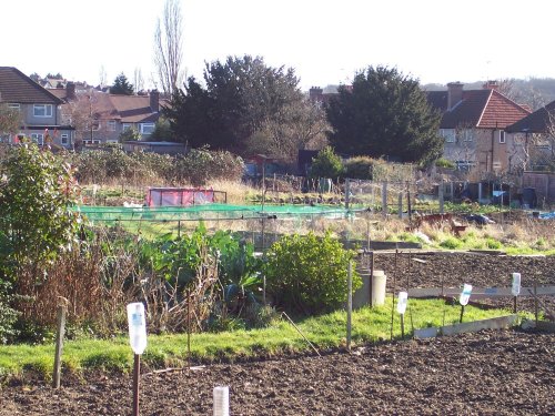 Allotments off Whitton Ave
Sudbury
Middlesex