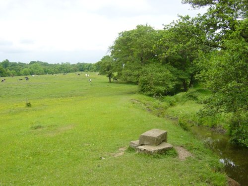 Taken at the Dam near Gilroyd and Dodworth, Barnsley South Yorkshire