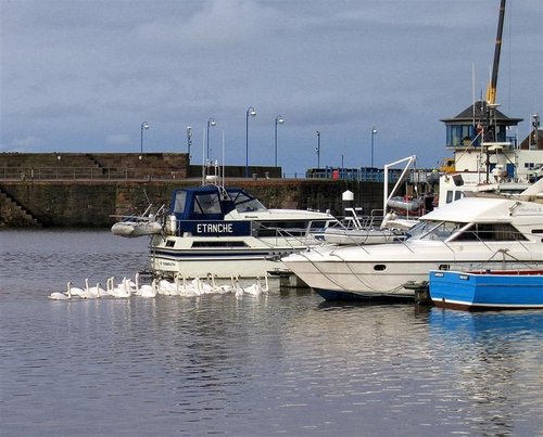 Whitehaven Harbour Nov 05
Canon Powershot S50