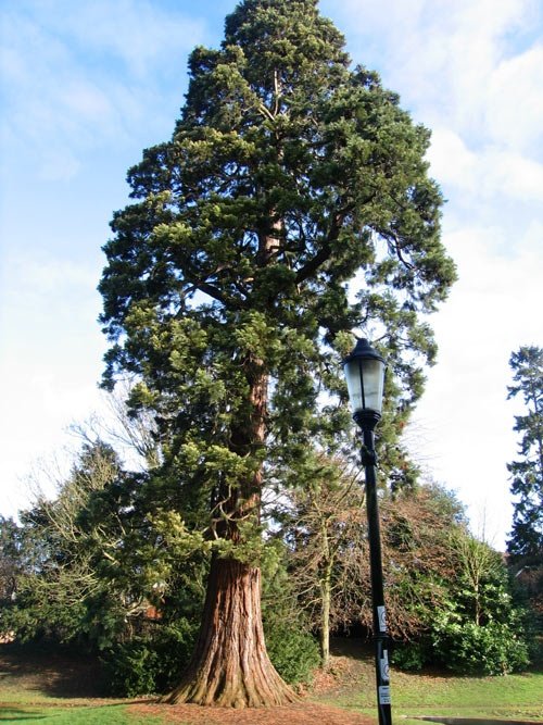 Memorial Gardens, Tring, Hertfordshire