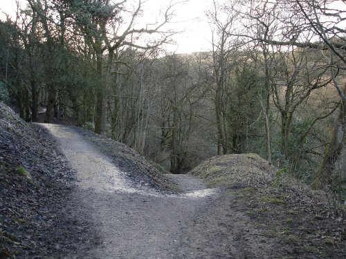 Sunnyhurst Woods, Darwen, Lancashire.