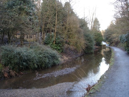 The stream that flows through Sunnyhurst Woods, Darwen, Lancashire.
