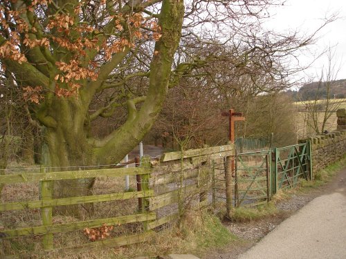 The highest entrance to Sunnyhurst Woods, Darwen, Lancashire.