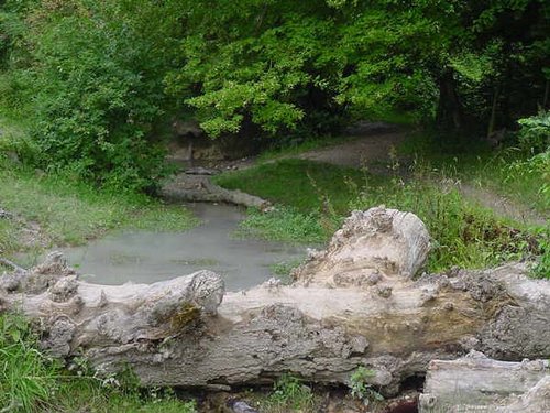 Barton Springs