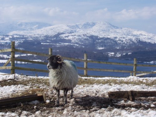 High Skeighy, Wansfell, Ambleside, Cumbria. March 06