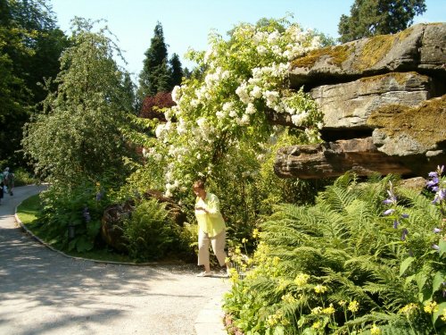 Picture taken on the Chatsworth estate 2005