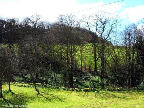 Maltby Beck, (near Rotherham ) South Yorkshire, winding its way to Roche Abbey and beyond.